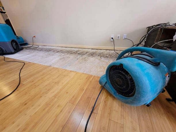Professional Structural Drying technician working in Berkeley Heights, NJ